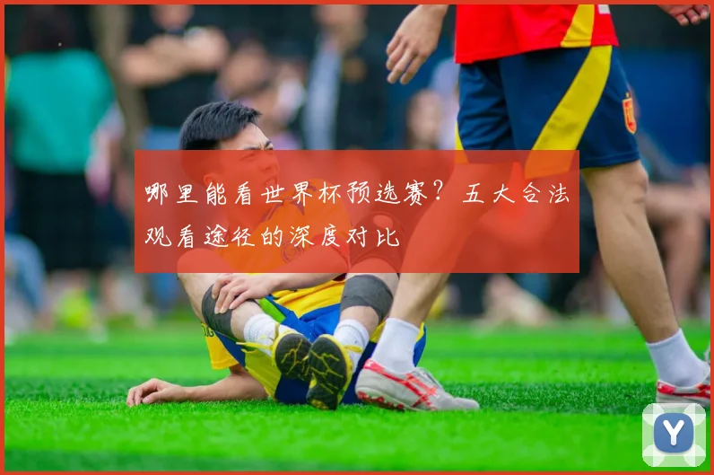 哪里能看世界杯预选赛？五大合法观看途径的深度对比