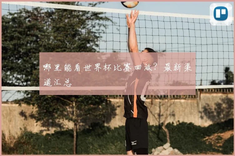 哪里能看世界杯比赛回放？最新渠道汇总