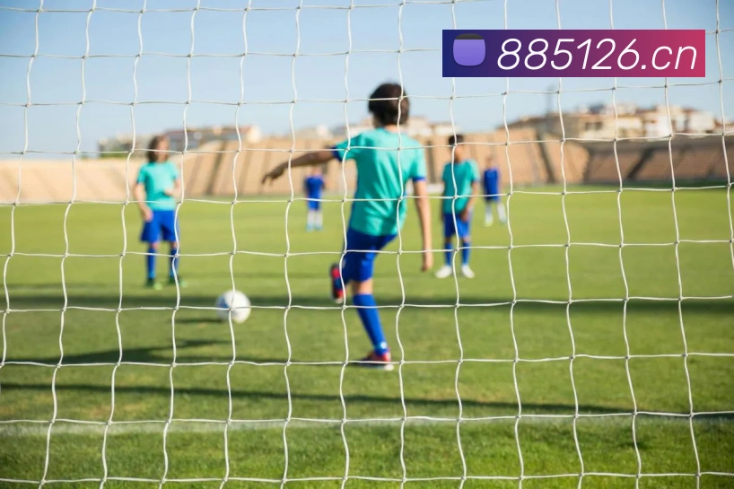 九游在线网页官网APP 封面图